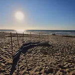 Coastal In Steps From The Sea *