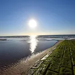 Coastal In Steps From The Sea